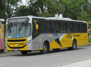 Sem-titulo-23